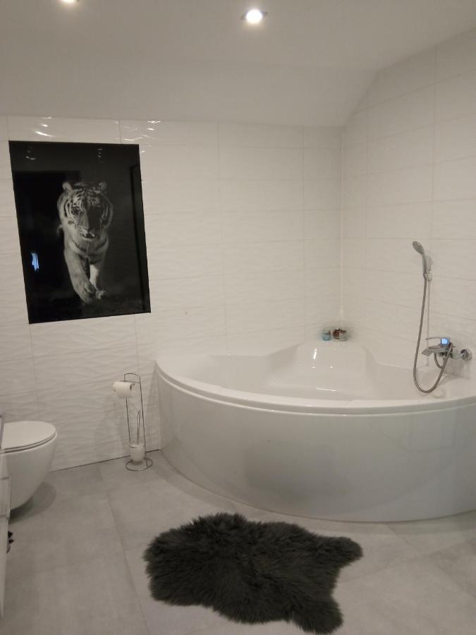 Apartmán Przy Jeziorze Iława Exteriér fotografie